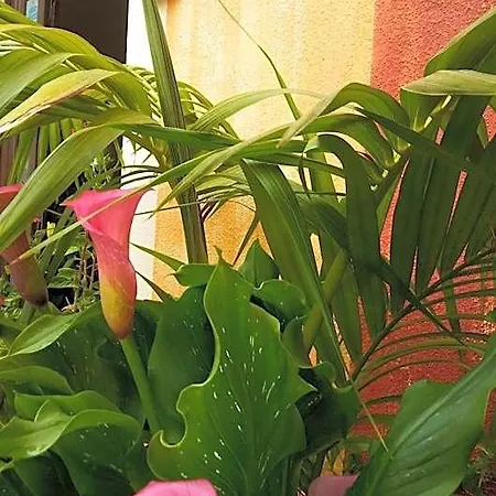 Sa Cralla Hotel Villasimius